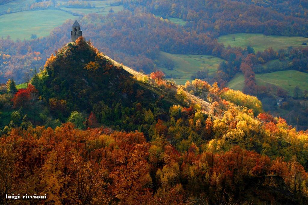 Villa Fedora Ліццано-ін-Бельведере Екстер'єр фото